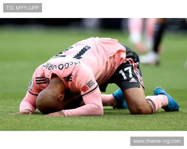 谢菲联新赛季展望：目标稳步前进 持续增强球队竞争力